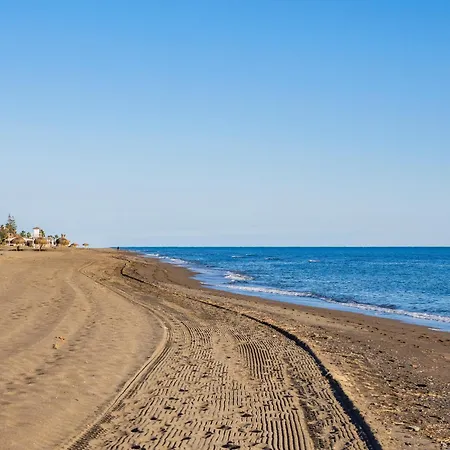 Complejo La Palapa *